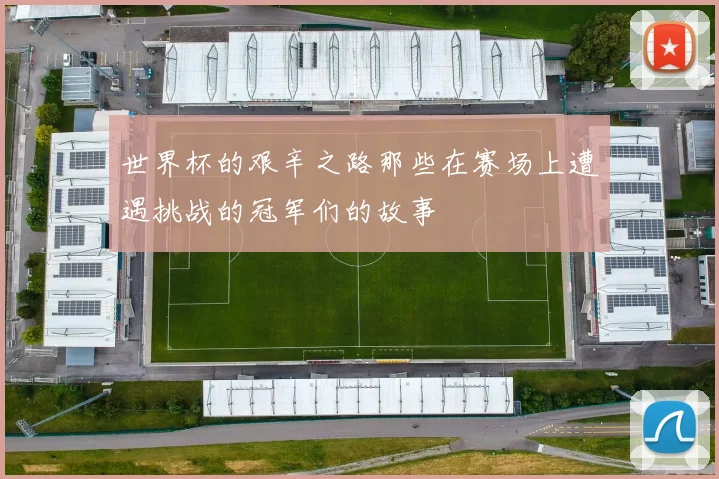世界杯的艰辛之路那些在赛场上遭遇挑战的冠军们的故事